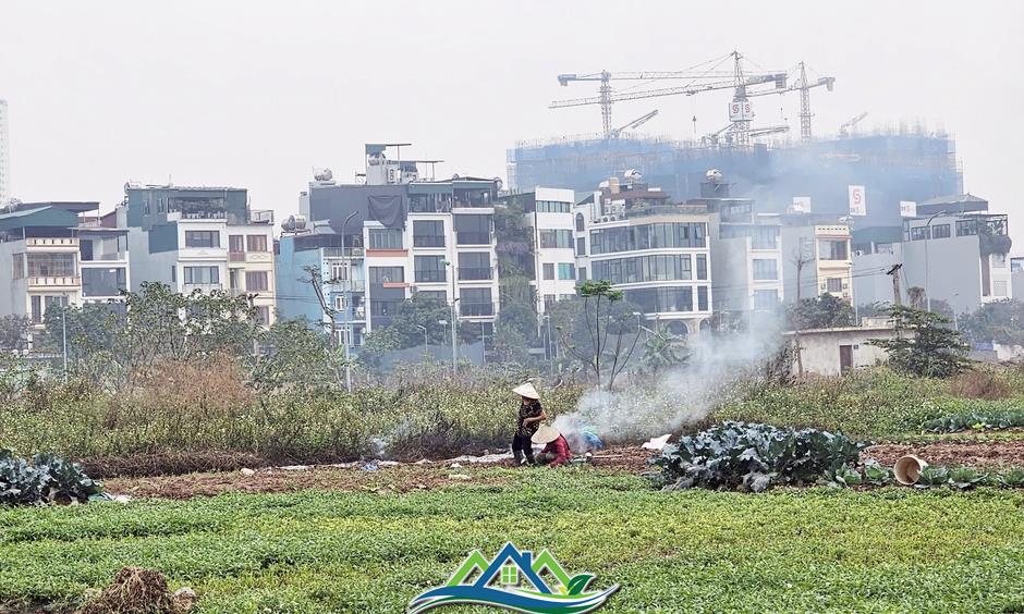 Cận cảnh khu đất hơn 15ha vừa được giao để làm khu di dân của Hà Nội