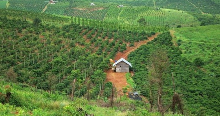 Chuyển mục đích sử dụng hơn 18ha đất rừng tại Hòa Bình để làm khu công nghiệp gần 2.000 tỷ đồng