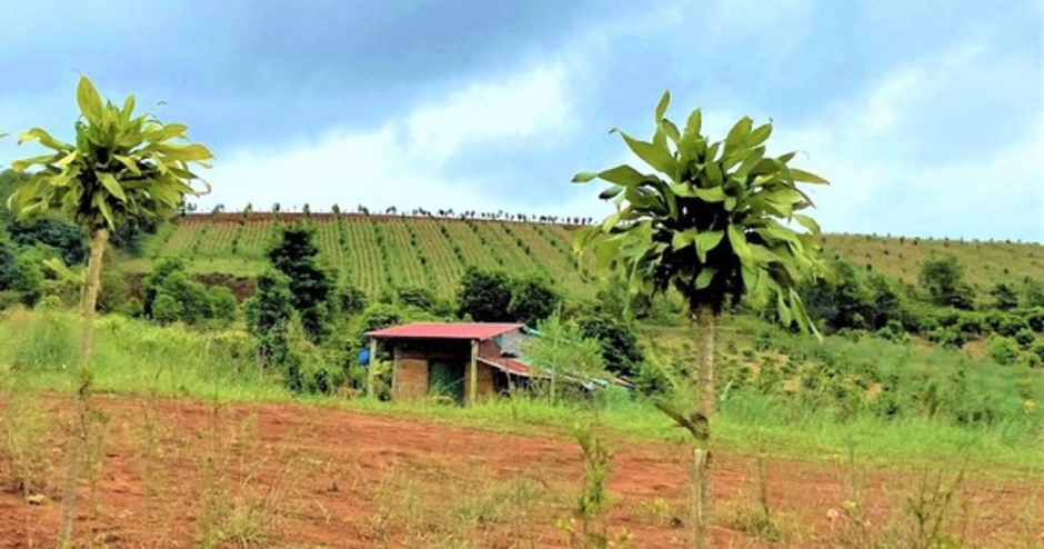 Đề nghị thu hồi giấy phép doanh nghiệp tự ý bán đất, chây ì nộp thuế