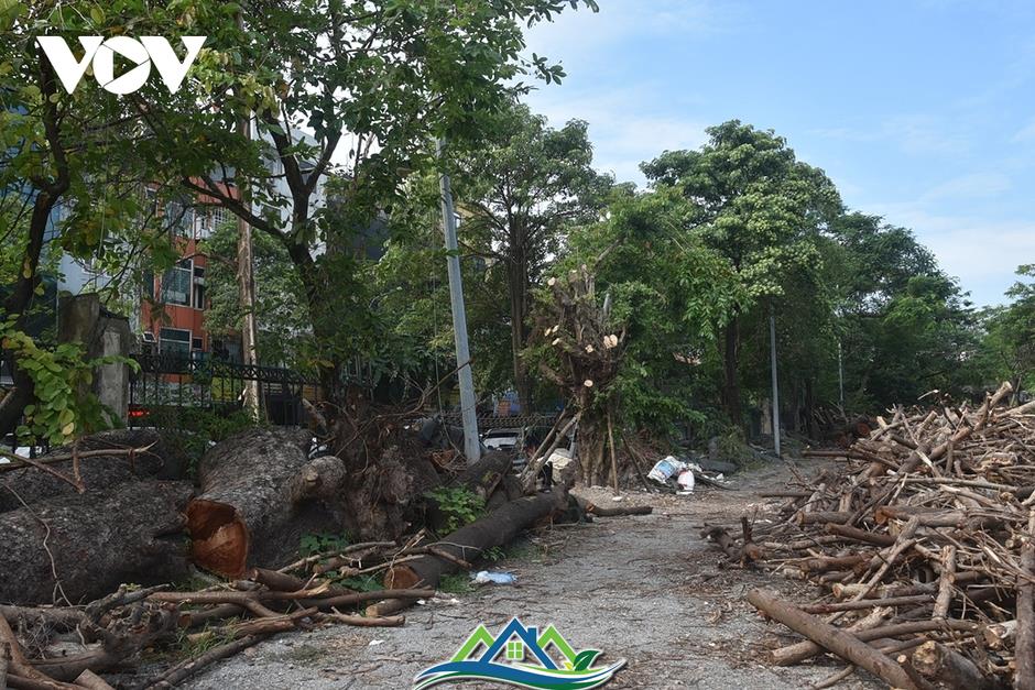 Hiện trạng Công viên Tuổi trẻ Thủ đô chuẩn bị hạ rào, tạo không gian mở