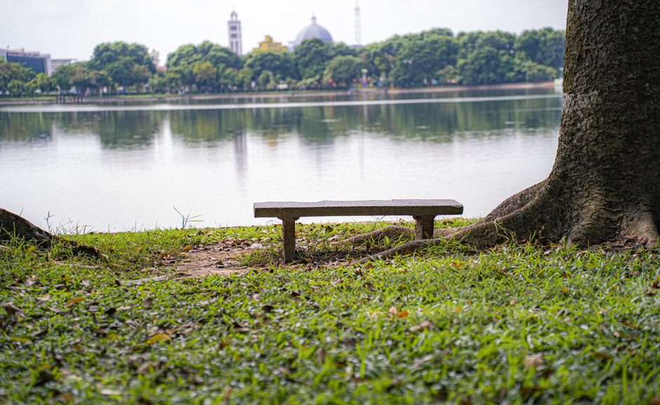 Hồ nước hình thành từ lấp sông, ngay gần UBND tỉnh, trở thành chốn an yên giữa lòng thành phố Nam Định