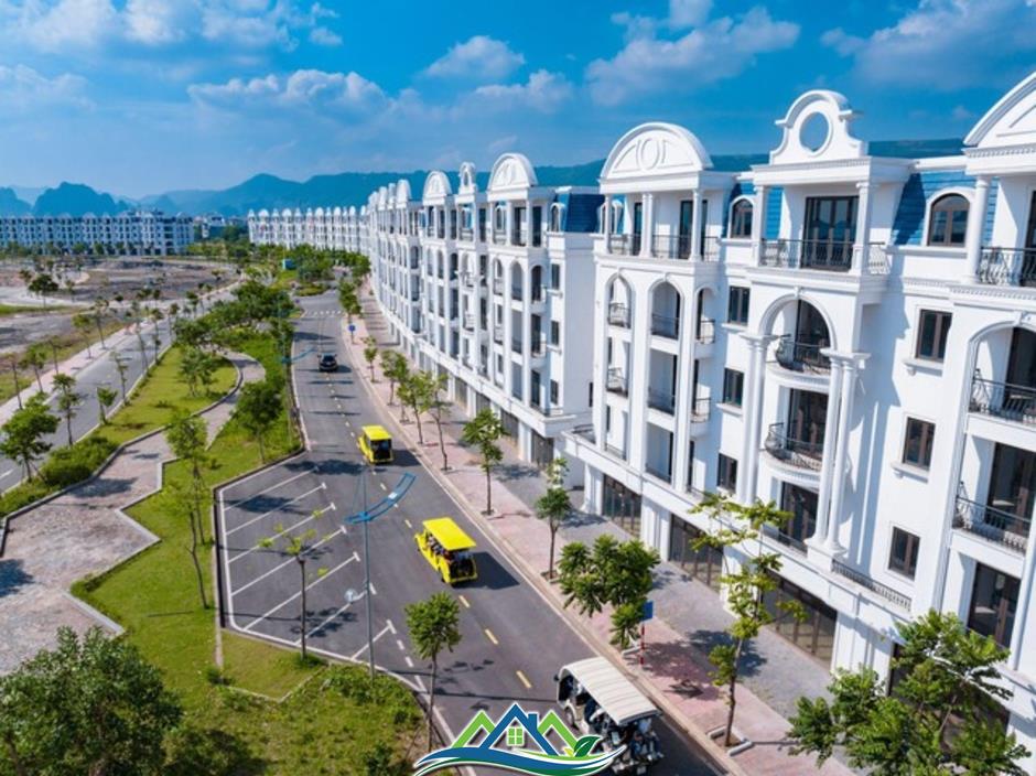 Safabay Cẩm Phả tung chính sách hấp dẫn dịp cuối năm