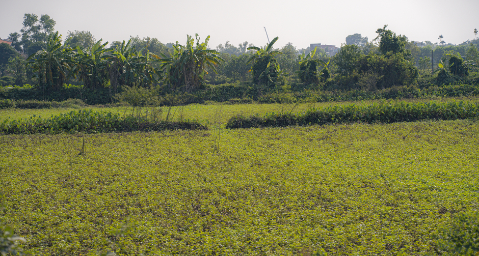 Toàn cảnh 5 công viên rộng tới 100 ha trong 