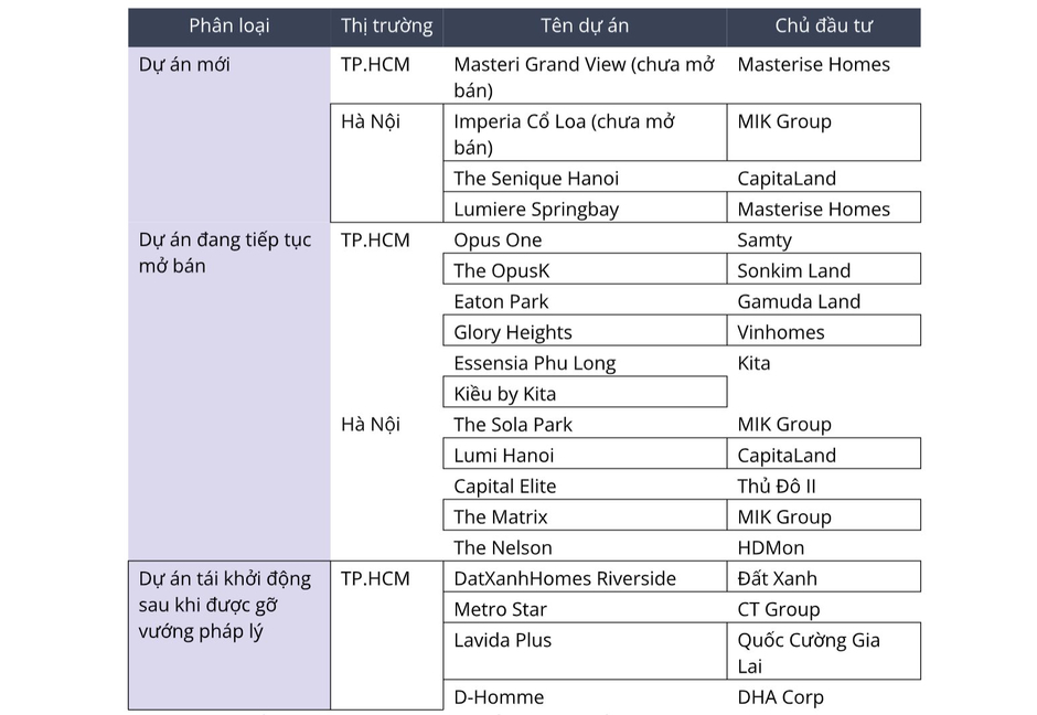 Tổng giám đốc Avison Young: Năm 2024 được xem là “năm của sự thay đổi”, thị trường bất động sản sẵn sàng cho chu kỳ mới