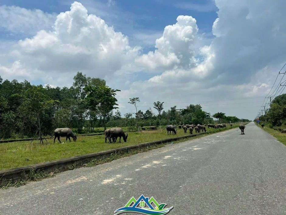 Trung Tâm đô thị mới Nhơn Trạch (Đồng Nai) sau hơn 30 năm hình thành vẫn “dậm chân tại chỗ”